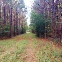 Hunting Recreation Development Land for Sale Harrrison Co MS images 2