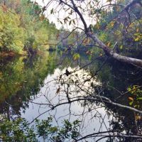 Hunting Recreation Development Land for Sale Harrrison Co MS images 4