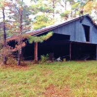 Hunting Recreation Development Land for Sale Harrrison Co MS images 5