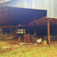 Hunting Recreation Development Land for Sale Harrrison Co MS images 6