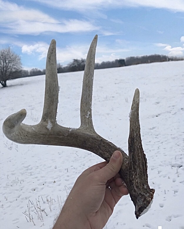100  - Acres Allamakee County  IA featured image