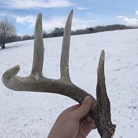 100  - Acres Allamakee County  IA