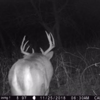 100  - Acres Allamakee County  IA images 6