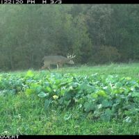 100  - Acres Allamakee County  IA images 5
