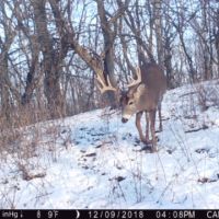 100  - Acres Allamakee County  IA images 4