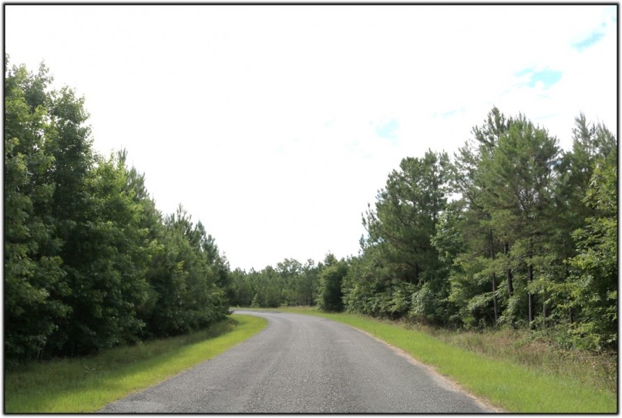 58 Acres in Winston County in Mccool  MS featured image