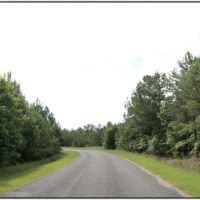 58 Acres in Winston County in Mccool  MS