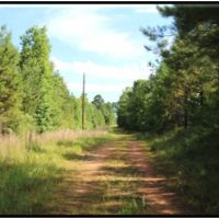 58 Acres in Winston County in Mccool  MS images 3