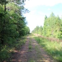 58 Acres in Winston County in Mccool  MS images 5