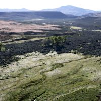Rush Creek Ranch images 4
