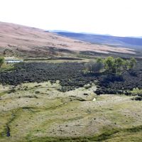 Rush Creek Ranch images 6