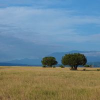 Burnt River Ranch images 4