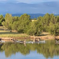 Burnt River Ranch images 5