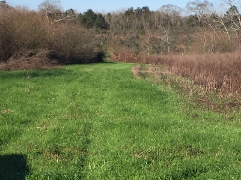 Hunt Rd 79 Acres featured image
