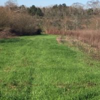 Hunt Rd 79 Acres