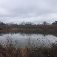 Hunt Rd 79 Acres images 2