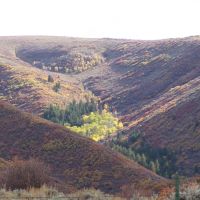 Piceance Creek Ranch images 5