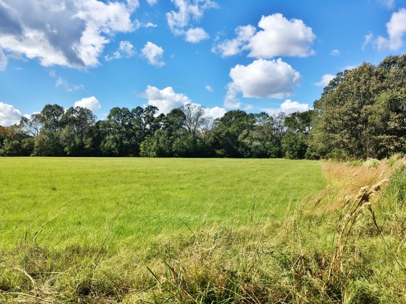 Acreage with Lakes for Sale East Baton Rouge Parish  LA featured image