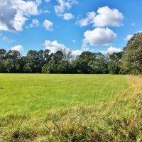 Acreage with Lakes for Sale East Baton Rouge Parish  LA