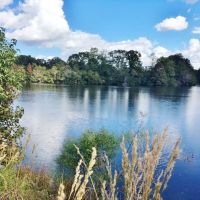 Acreage with Lakes for Sale East Baton Rouge Parish  LA images 2