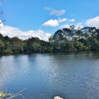 Acreage with Lakes for Sale East Baton Rouge Parish  LA images 3