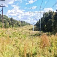 Acreage with Lakes for Sale East Baton Rouge Parish  LA images 5