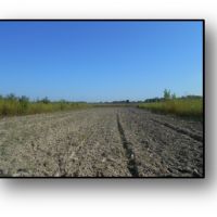 Equity Share in Issaquena County at Valewood Plantation LLC images 4