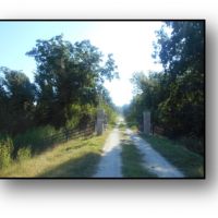 Equity Share in Issaquena County at Valewood Plantation LLC images 5