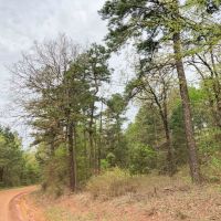 213 Acres &nbsp; CR 2864 &nbsp; Tract 1017