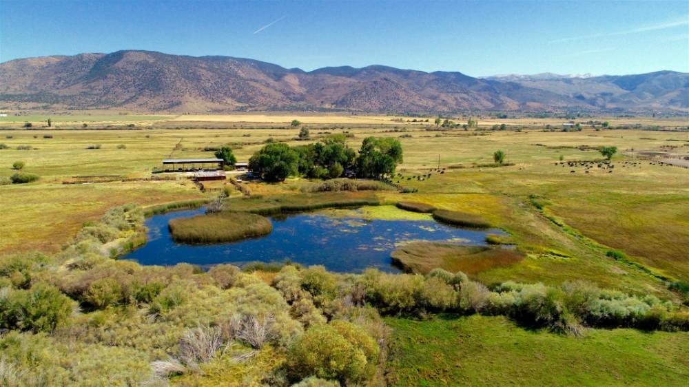 Curti Riverfront Ranch featured image