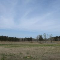 47.5 Acres in Oktibbeha County in Maben  MS
