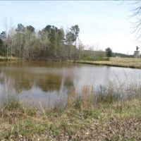 47.5 Acres in Oktibbeha County in Maben  MS images 2