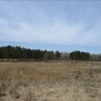 47.5 Acres in Oktibbeha County in Maben  MS images 5