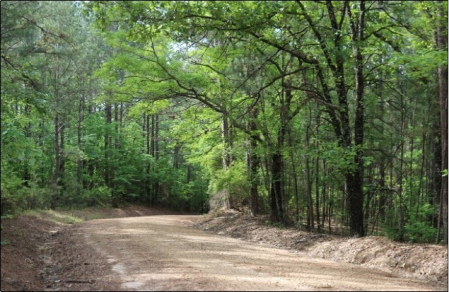 77 Acres in Winston County in McCool  MS featured image