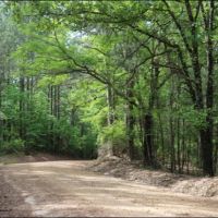 77 Acres in Winston County in McCool  MS images 1