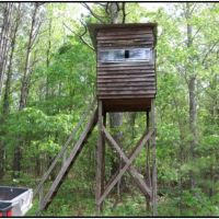 77 Acres in Winston County in McCool  MS images 4