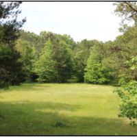 77 Acres in Winston County in McCool  MS images 5
