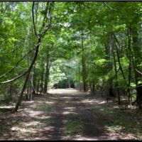 24 Acres in Lowndes County in Columbus  MS images 3
