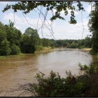 24 Acres in Lowndes County in Columbus  MS images 4