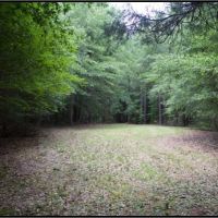 24 Acres in Lowndes County in Columbus  MS images 5