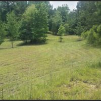 24 Acres in Lowndes County in Columbus  MS images 6