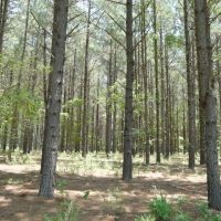 Mars Ranch Sporting Club images 2
