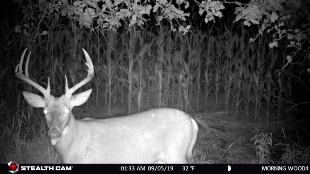 Recreational Escape and Hunting Land For Sale in Adams County  WI featured image