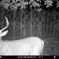 Recreational Escape and Hunting Land For Sale in Adams County  WI