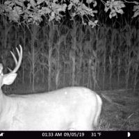 Recreational Escape and Hunting Land For Sale in Adams County  WI images 6