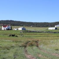 Ute Pass Ranch images 2