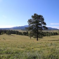 Ute Pass Ranch images 3