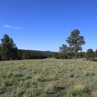 Ute Pass Ranch images 6