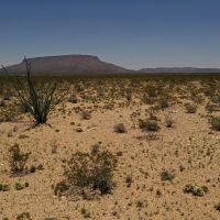 East Rim Ranch Lot 10-3 images 6