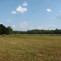 Productive Farm &nbsp; Recreational Land For Sale in Hardin County  TN images 2